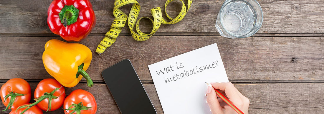 Wat is metabolisme