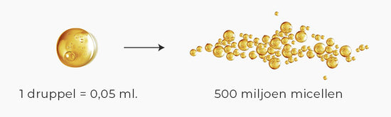 Micellen zijn microscopisch kleine bolletjes van vetachtige stoffen die in water worden opgelost